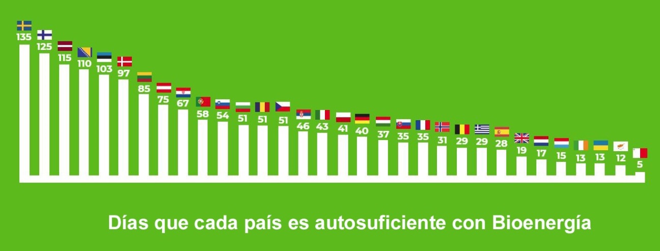 Dia Europeo de la bioenergía