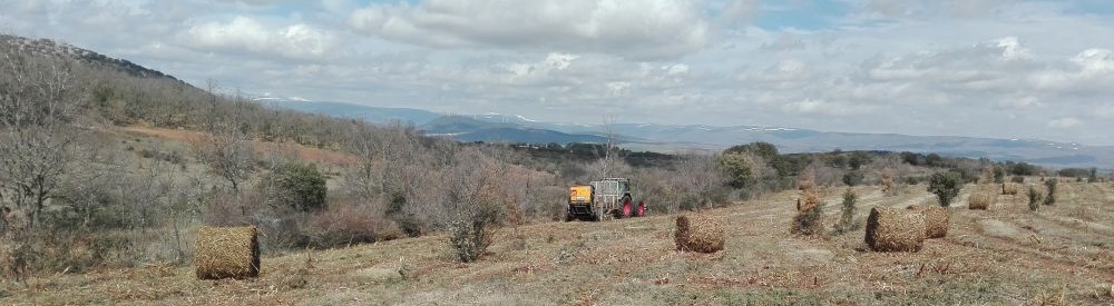 limpieza de montes