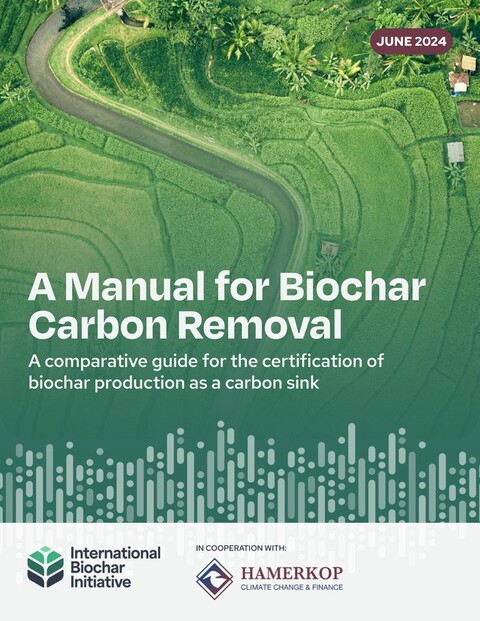 biochar carbono biomasa bioenergia