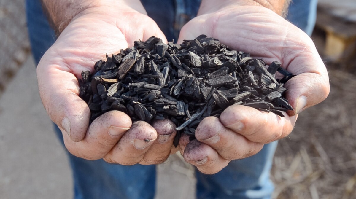 biochar biomasa carbono 